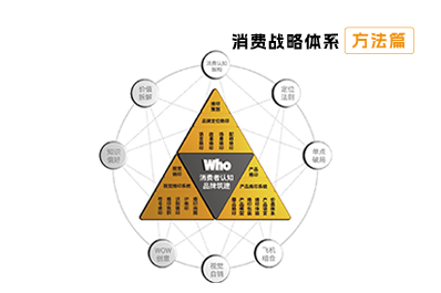 【消費(fèi)戰(zhàn)略方法論】消費(fèi)烙印的策略模型-上海塔望